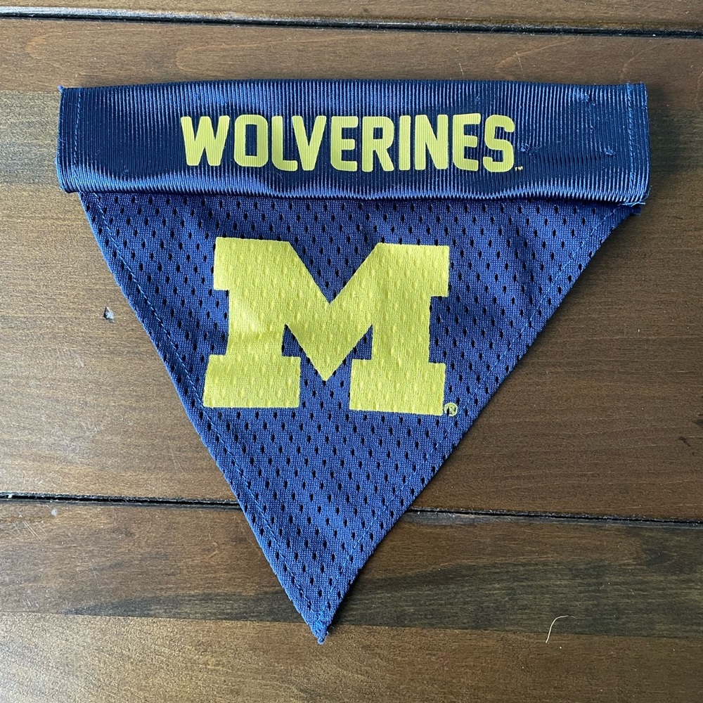 Dog bandana